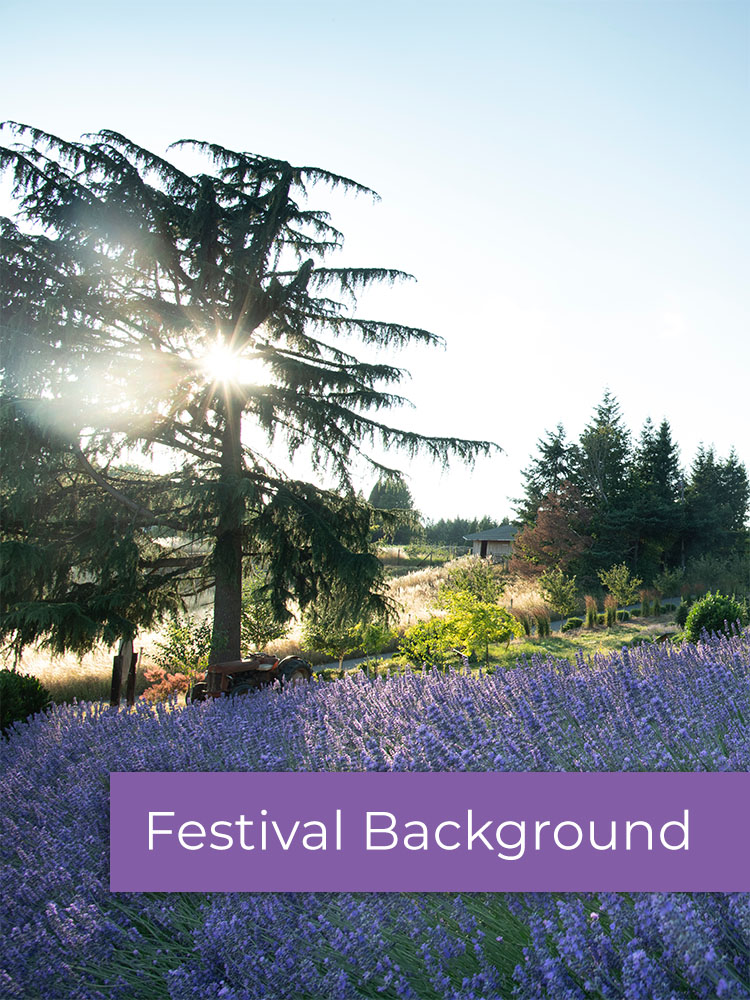 festival background