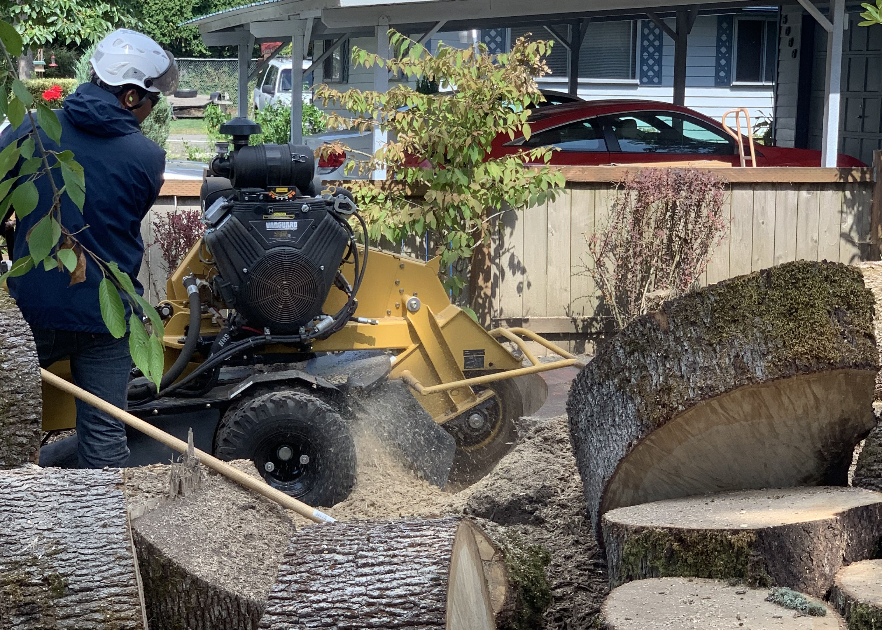 STUMP GRINDING